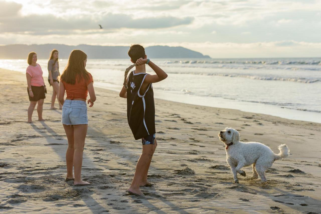 Ohope Beach Top 10 Holiday Park Bagian luar foto